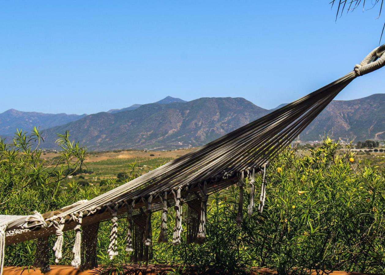 Villa Rancho Cien Piedras Sansoni Exterior foto